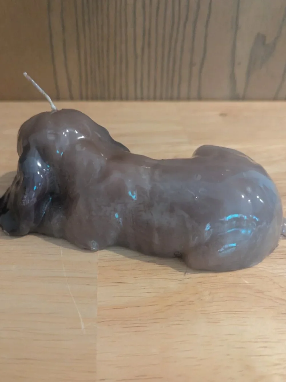 Vintage Cocker Spaniel Dog Wax‎ Decorative Candle Laying Brown/Gray